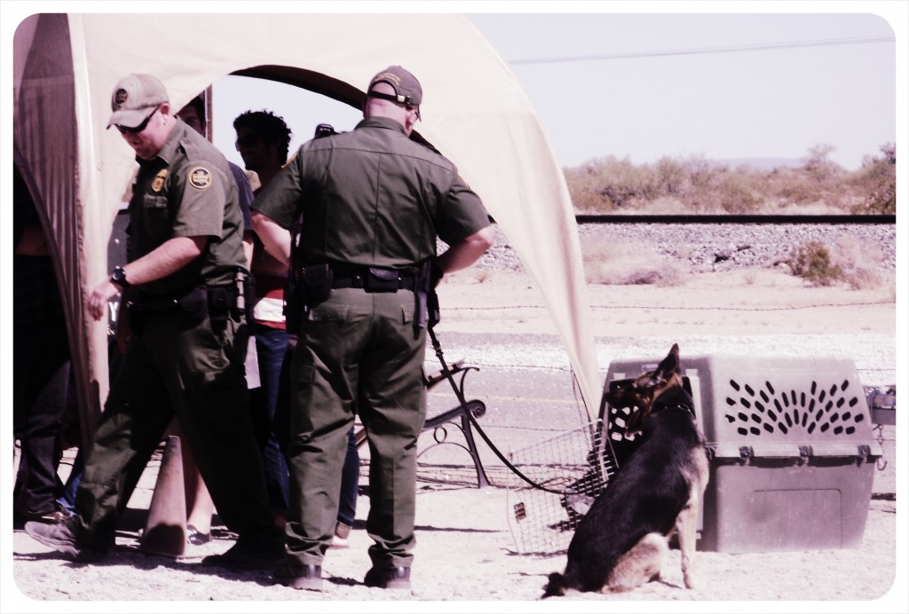 Border Patrol Sniffer Dogs