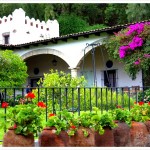 Casa Dolores Olmedo
