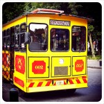 Coyoacan Tram