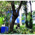 Jardin de Casa Azul