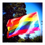 Rainbow flags Rainbow flags