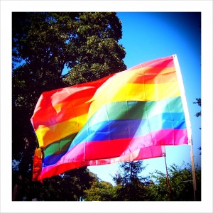 Rainbow flags