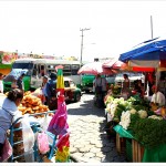 Xochimilco Market