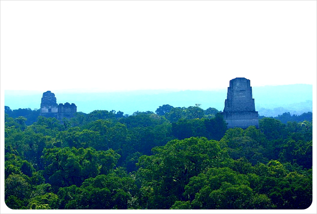 Indian Jungle Ruins