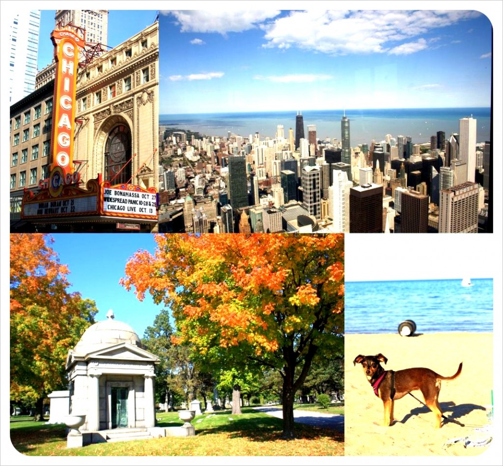 chicago 2011
