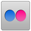 Flickr Icon
