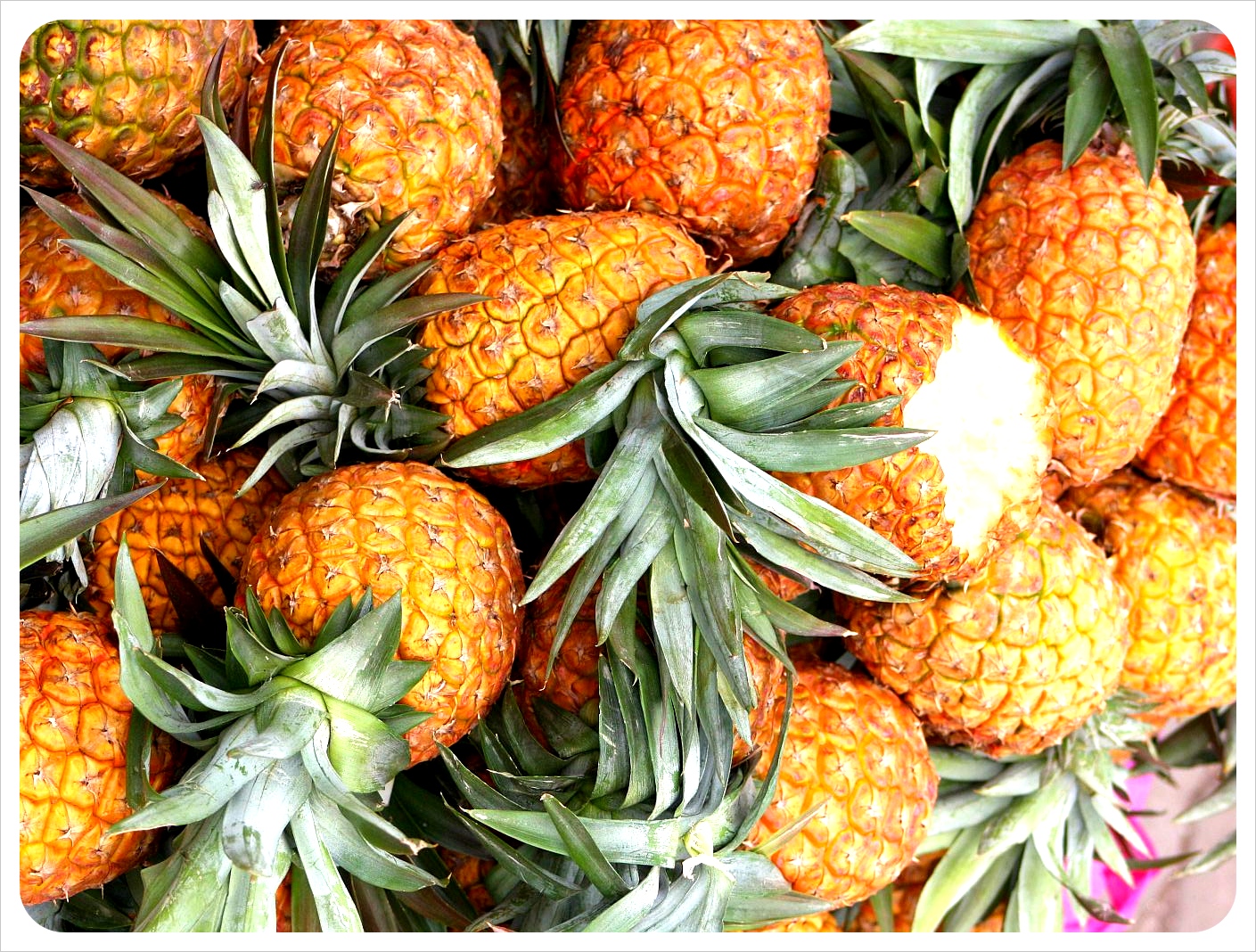 Central American Pineapples