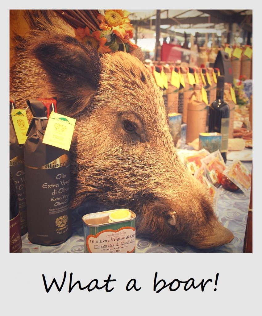 polaroid of the week italy lucca boars head