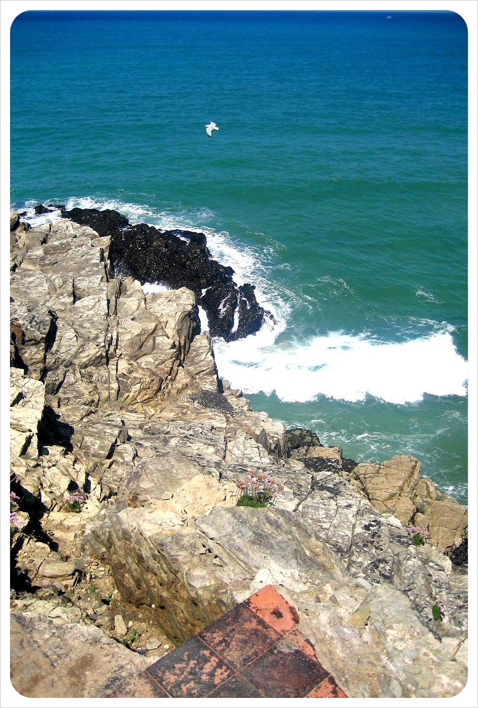 Cliffs & Ocean