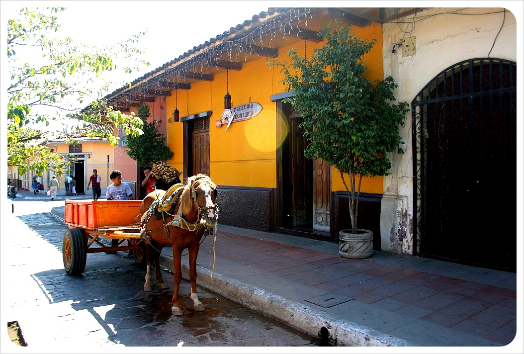 Horse-carriage granada nicaragua