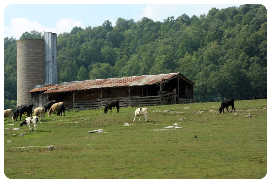 Farm in Virginia