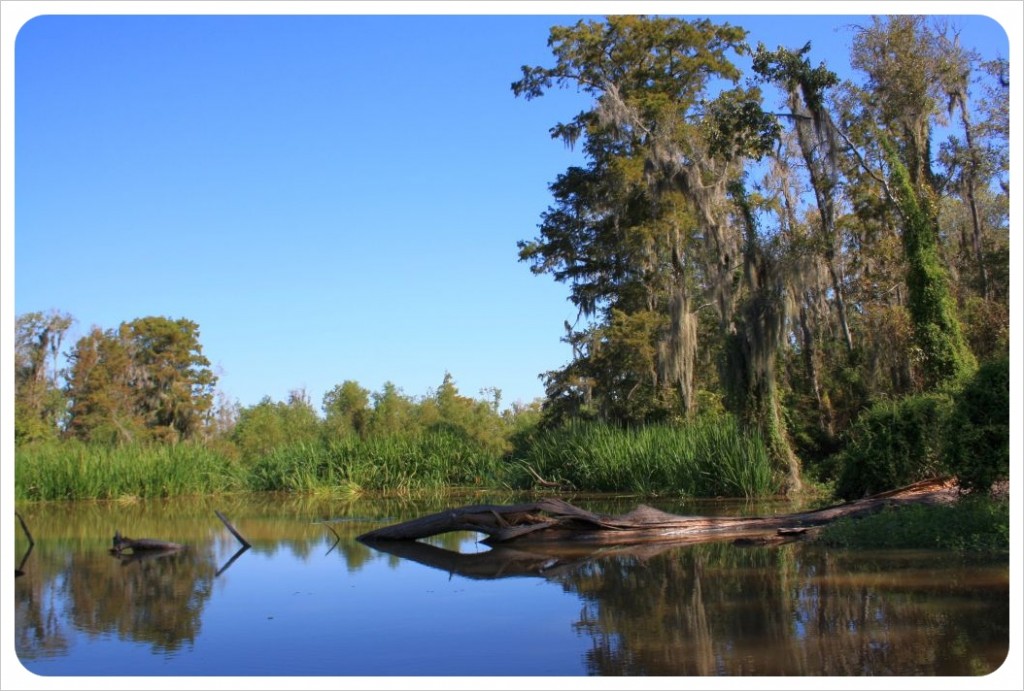 Boggy Creek Park Guide & Gruesome Legend