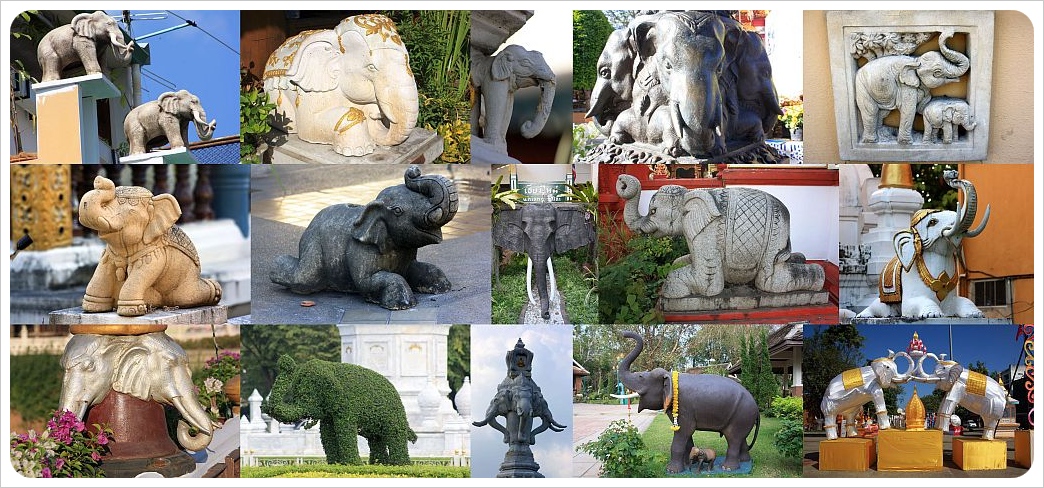 elephant images thailand