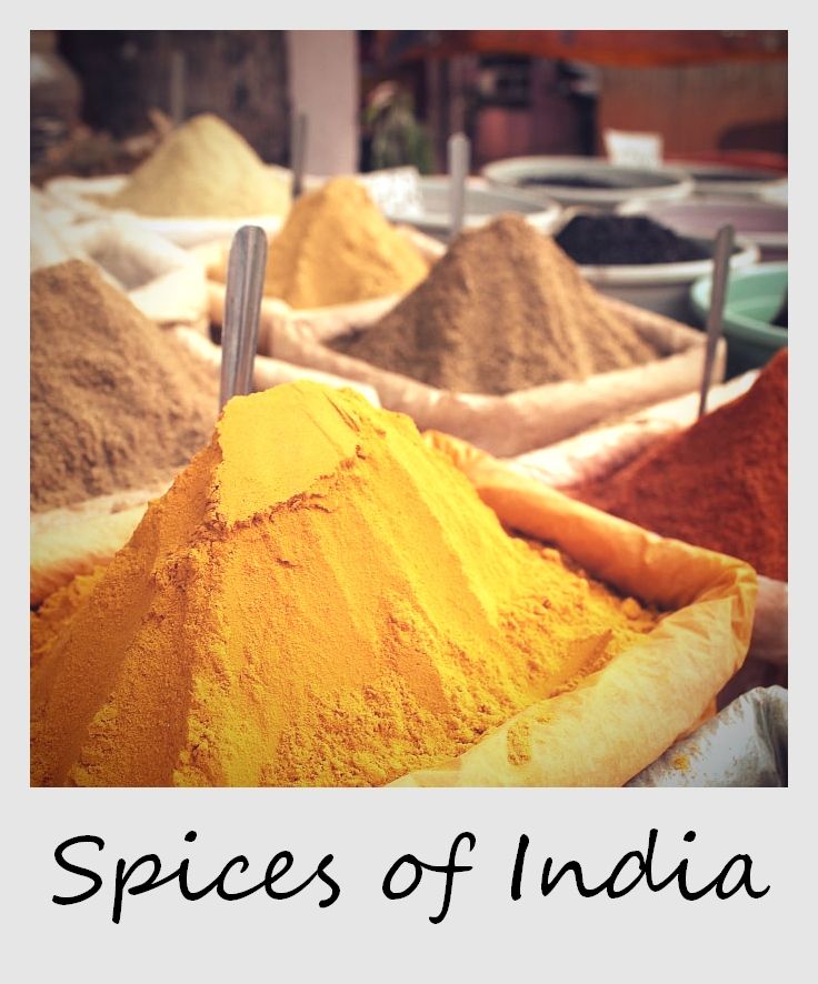 polaroid of the week india goa spice shop