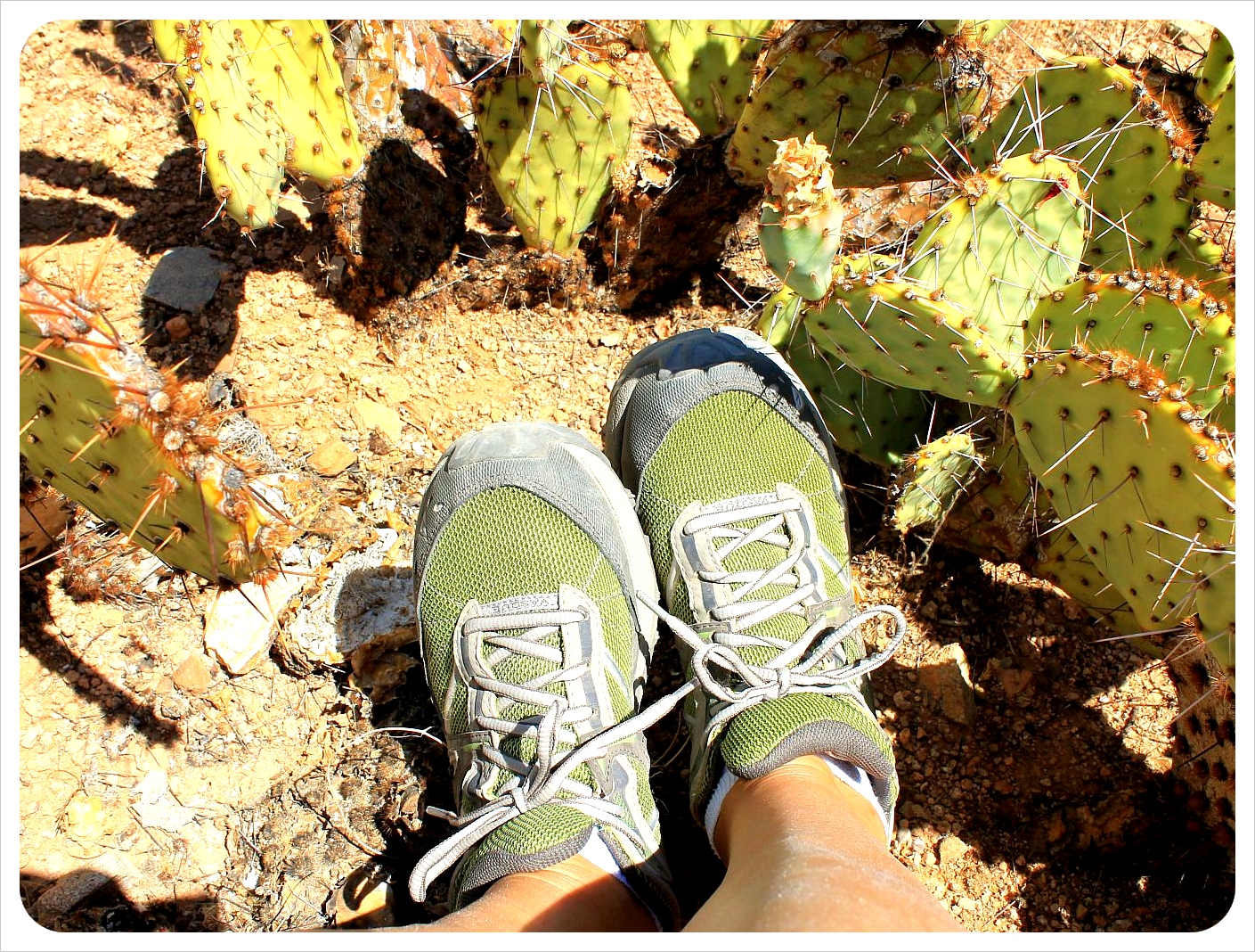 vasque velocity trail running shoe green like a cactus