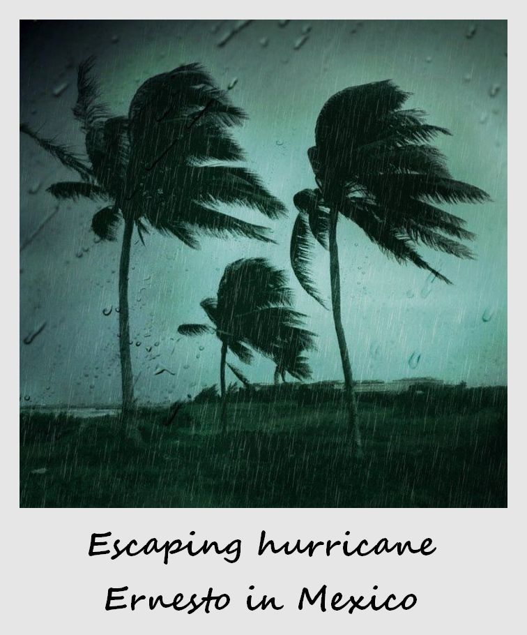 polaroid of the week mexico 2012 hurricane ernesto palm trees