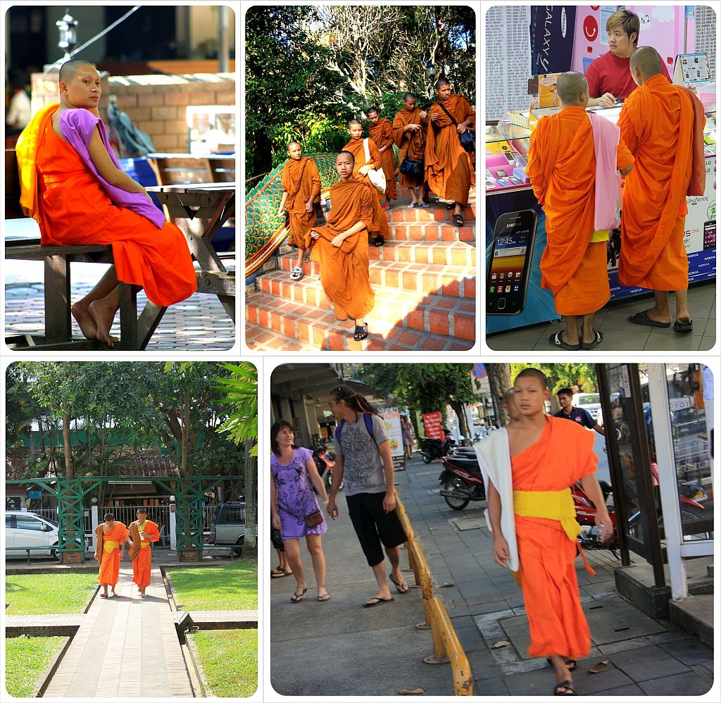 Chiang Mai monks