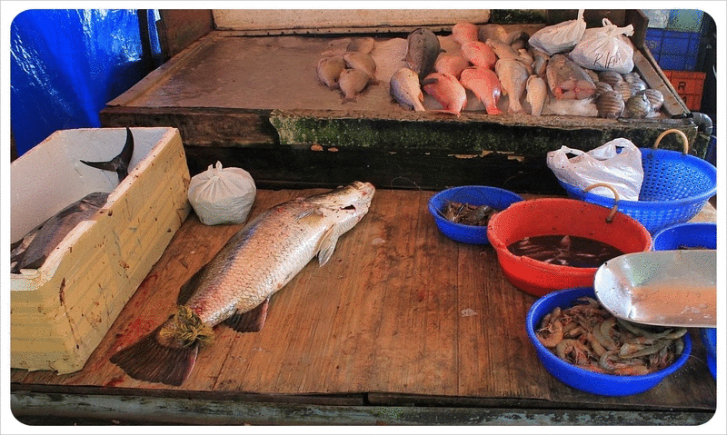Fort Cochin Fish Market