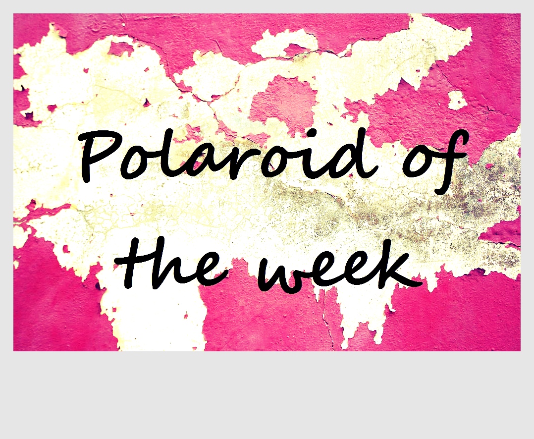 Polaroid Of The Week: Cherry Blossom Carpet in New York City