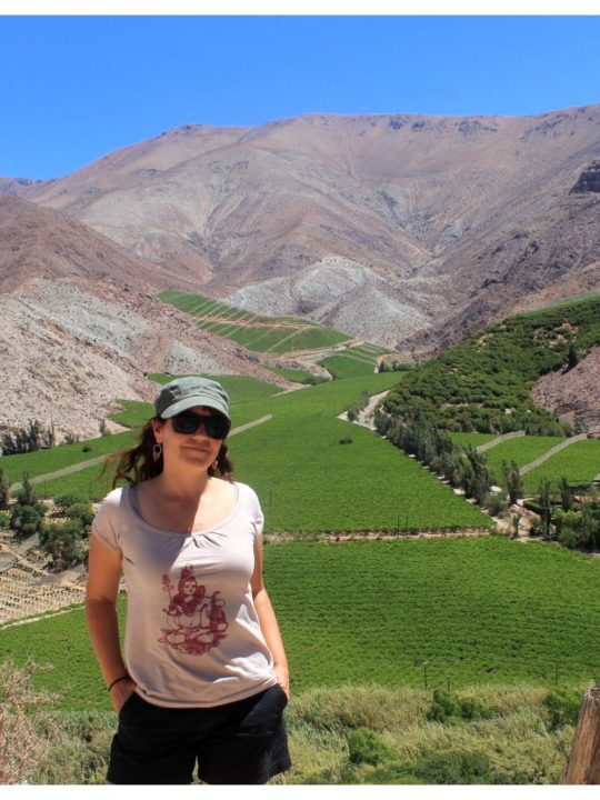 Pisco, papaya and the playa: A trip to La Serena and the Elqui Valley