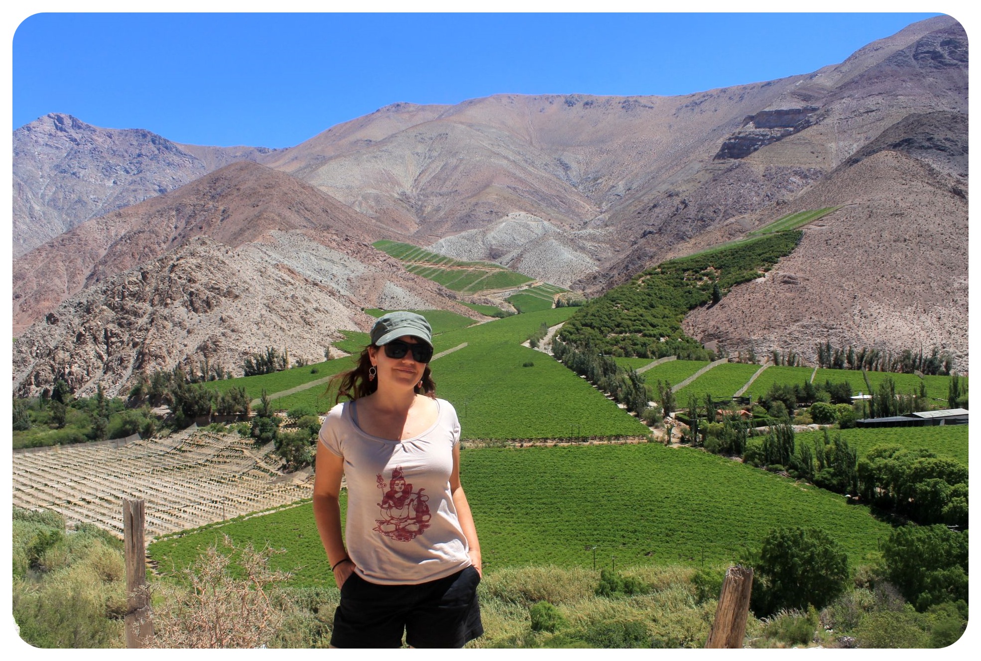 Pisco, papaya and the playa: A trip to La Serena and the Elqui Valley
