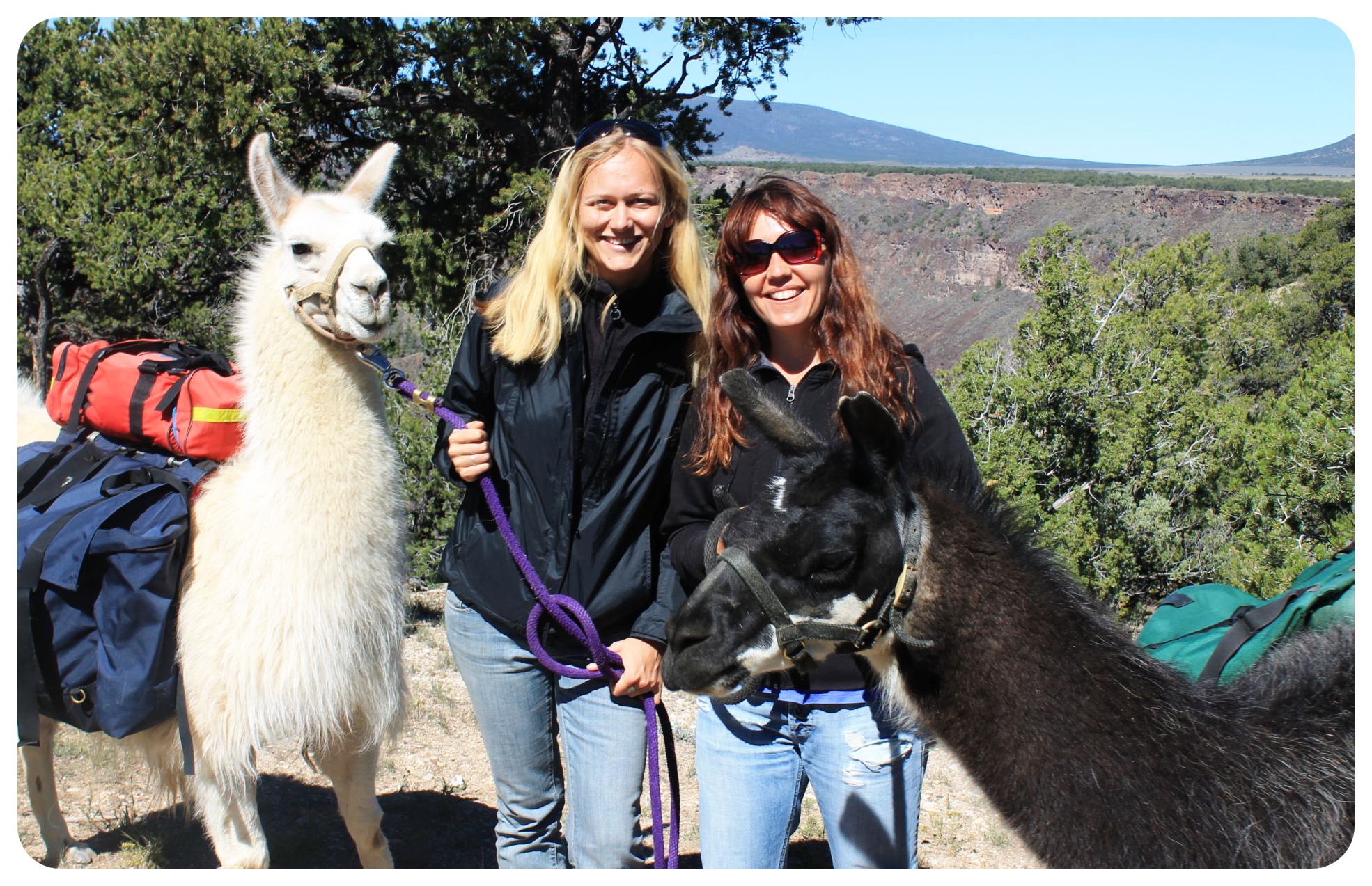 Llama trekking to the Rio Grande | New Mexico