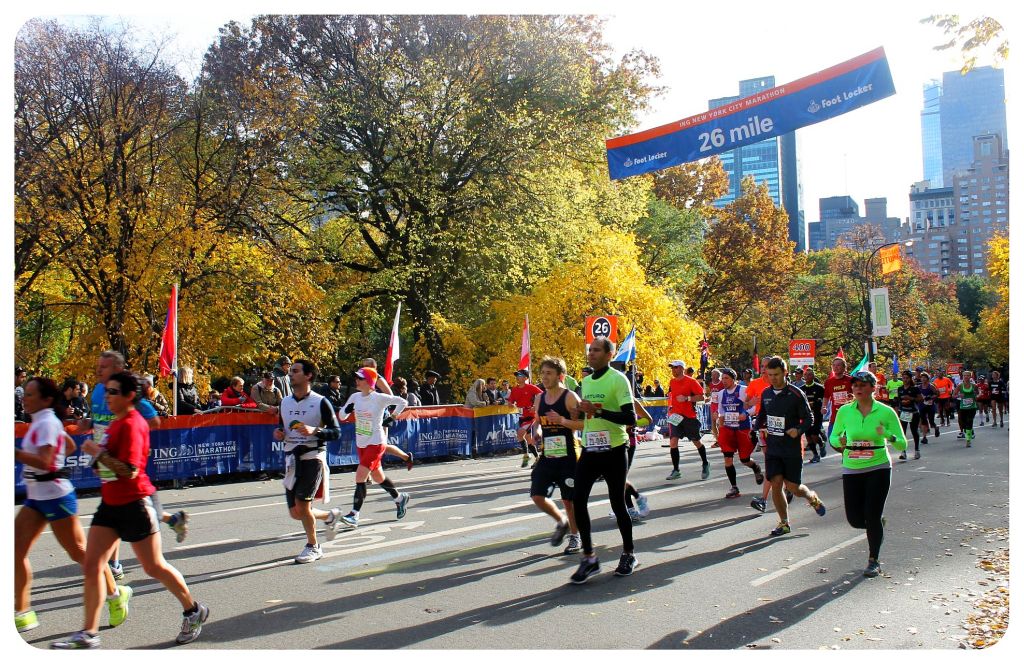 New York Marathon 2013