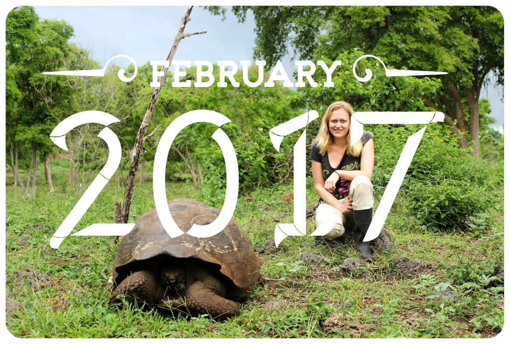 Life Lately & Upcoming Travels: February 2017 Edition