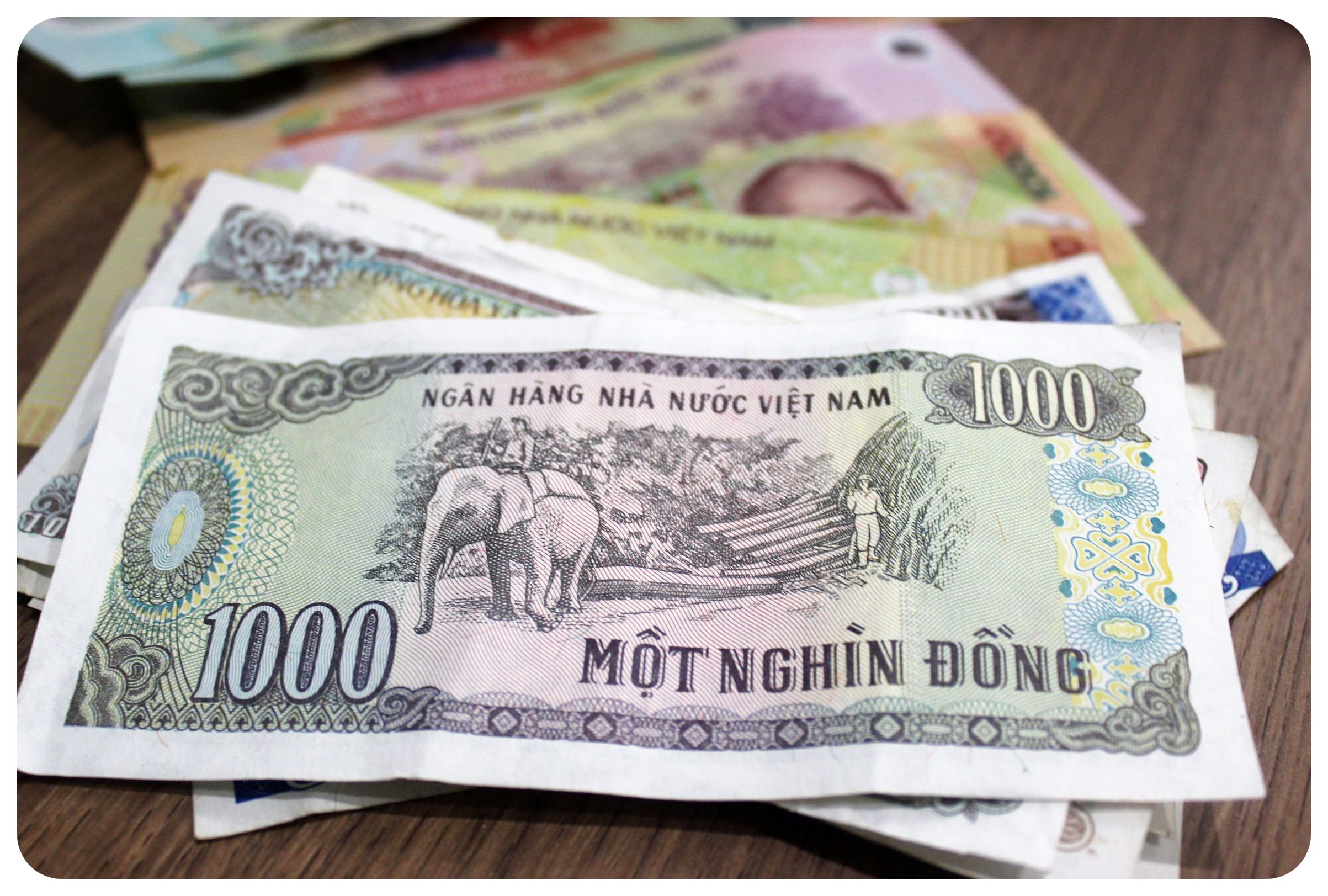 Vietnam's money: Essential things to know for your trip