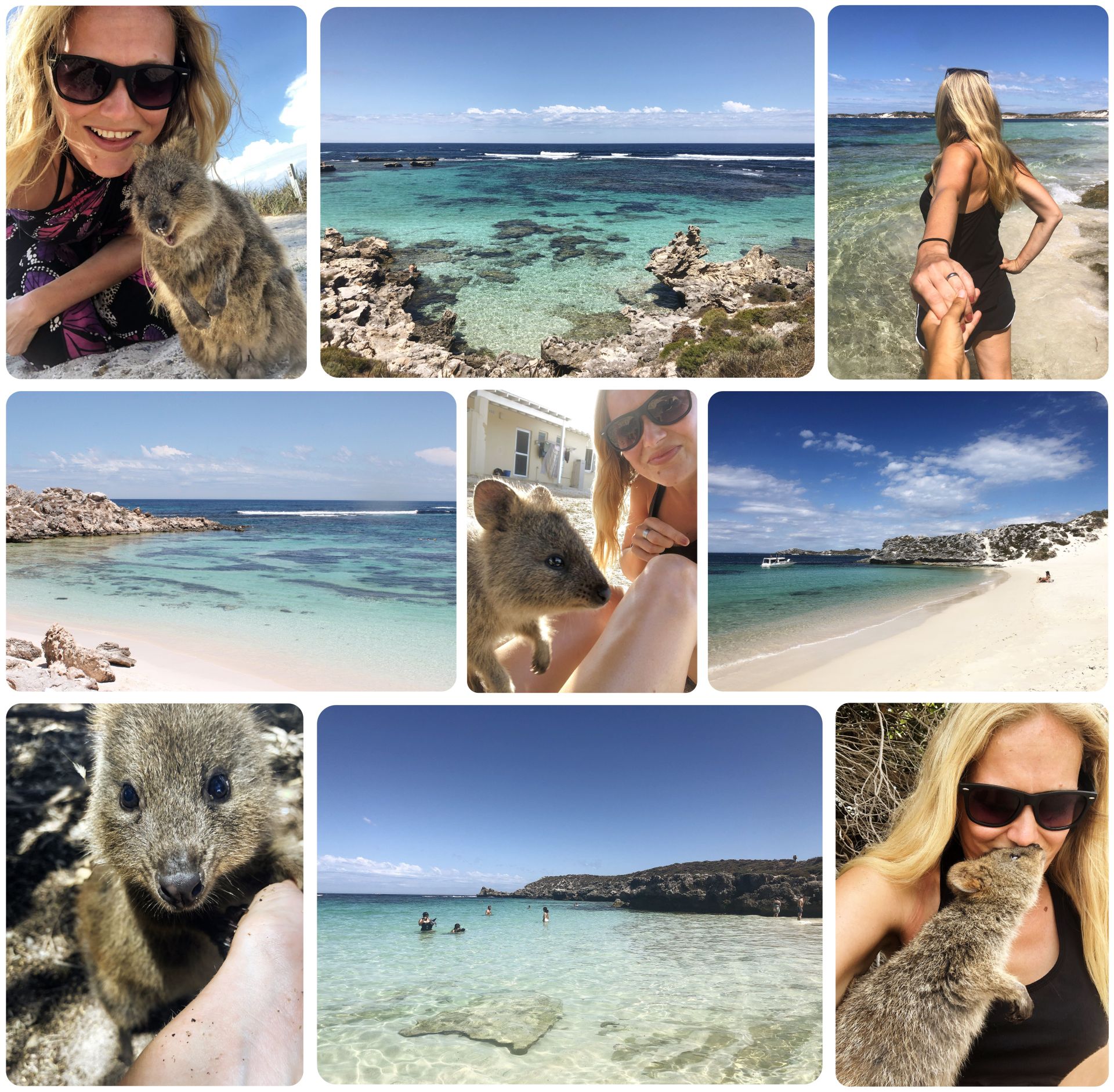 Everything you need to know about visiting Rottnest Island