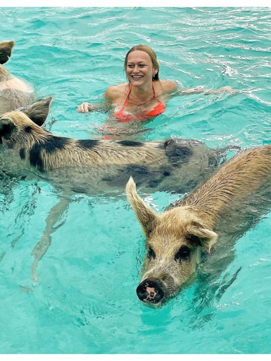 Everything you need to know before visiting Pig Beach in the Bahamas