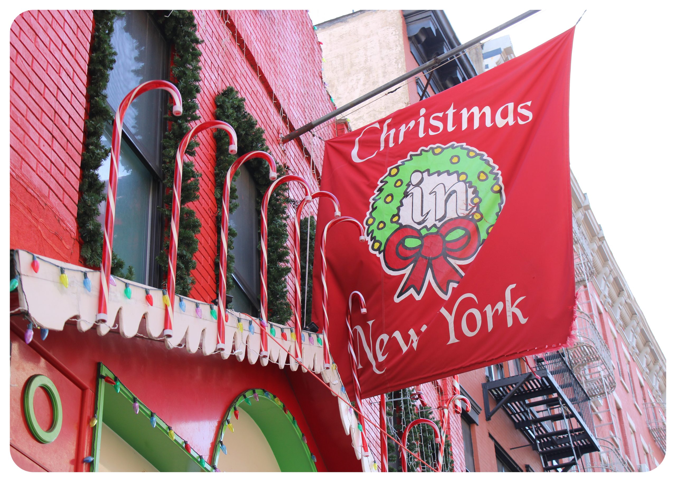 Best Holiday Window Displays in NYC (DIY Walking Tour) - Your Brooklyn Guide